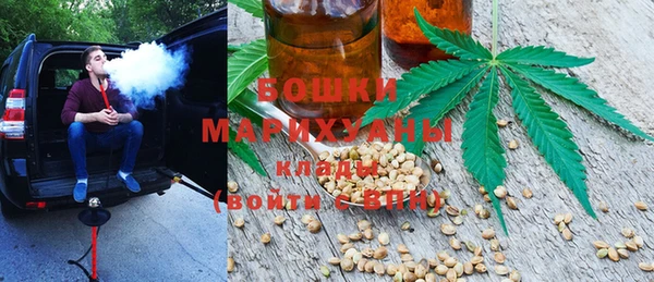 сатива Лихославль
