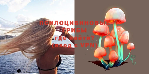 сатива Лихославль