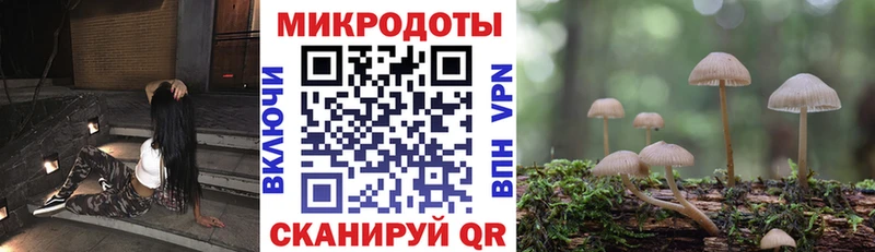 Купить  Карабаново  Галлюциногенные грибы мицелий 